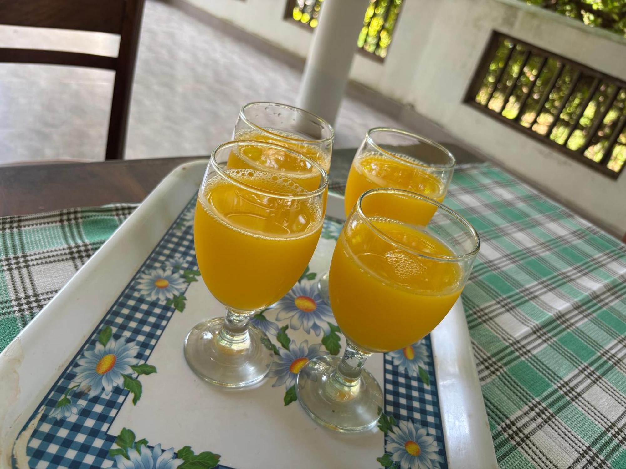 Hotel Indigo Unawatuna Ngoại thất bức ảnh